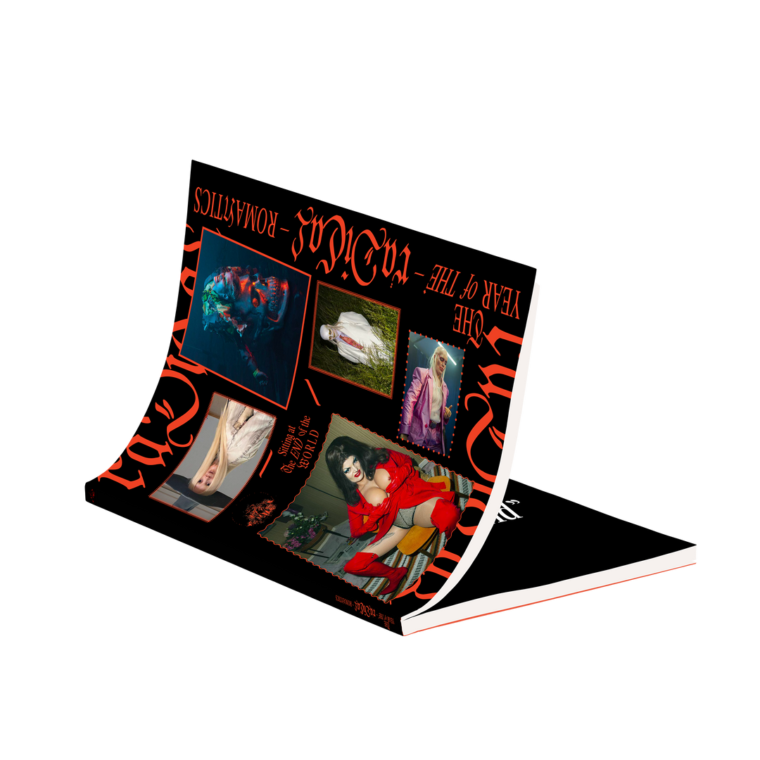 The Year Of The Radical Romantics Publication