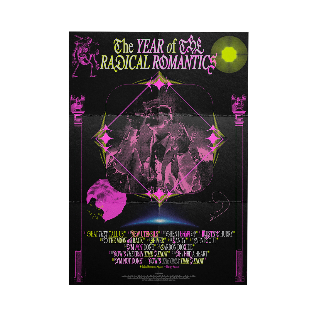 The Year Of The Radical Romantics LP