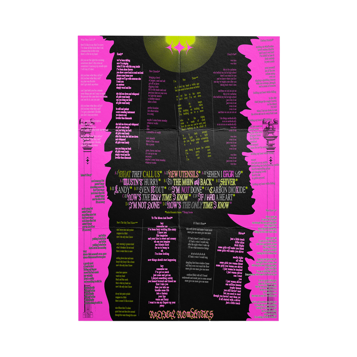 The Year Of The Radical Romantics LP