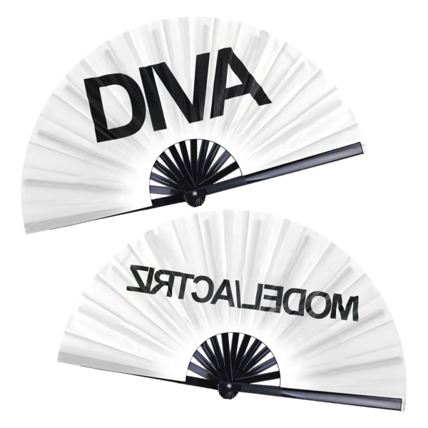 DIVA Fan