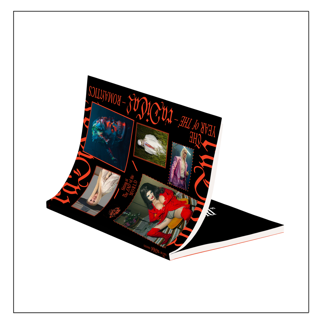The Year Of The Radical Romantics Publication