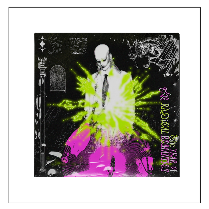 The Year Of The Radical Romantics LP