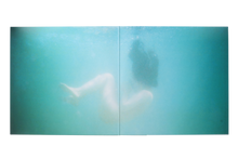 Load image into Gallery viewer, Windswept Adan | Double Deluxe LP