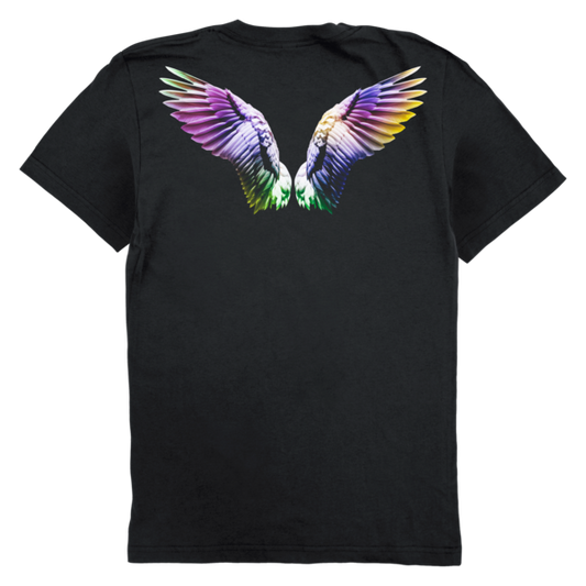heartbreak anthem wings tee