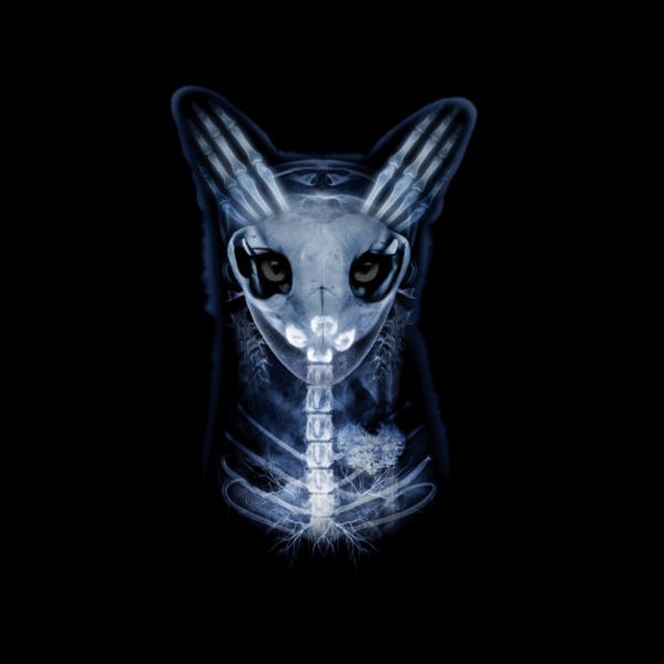 skullfox 3m tee