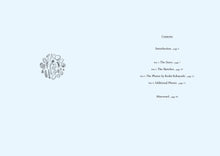 Load image into Gallery viewer, Windswept Adan &quot;Dreams and Visions &quot; Companion Book