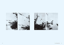 Load image into Gallery viewer, Windswept Adan &quot;Dreams and Visions &quot; Companion Book